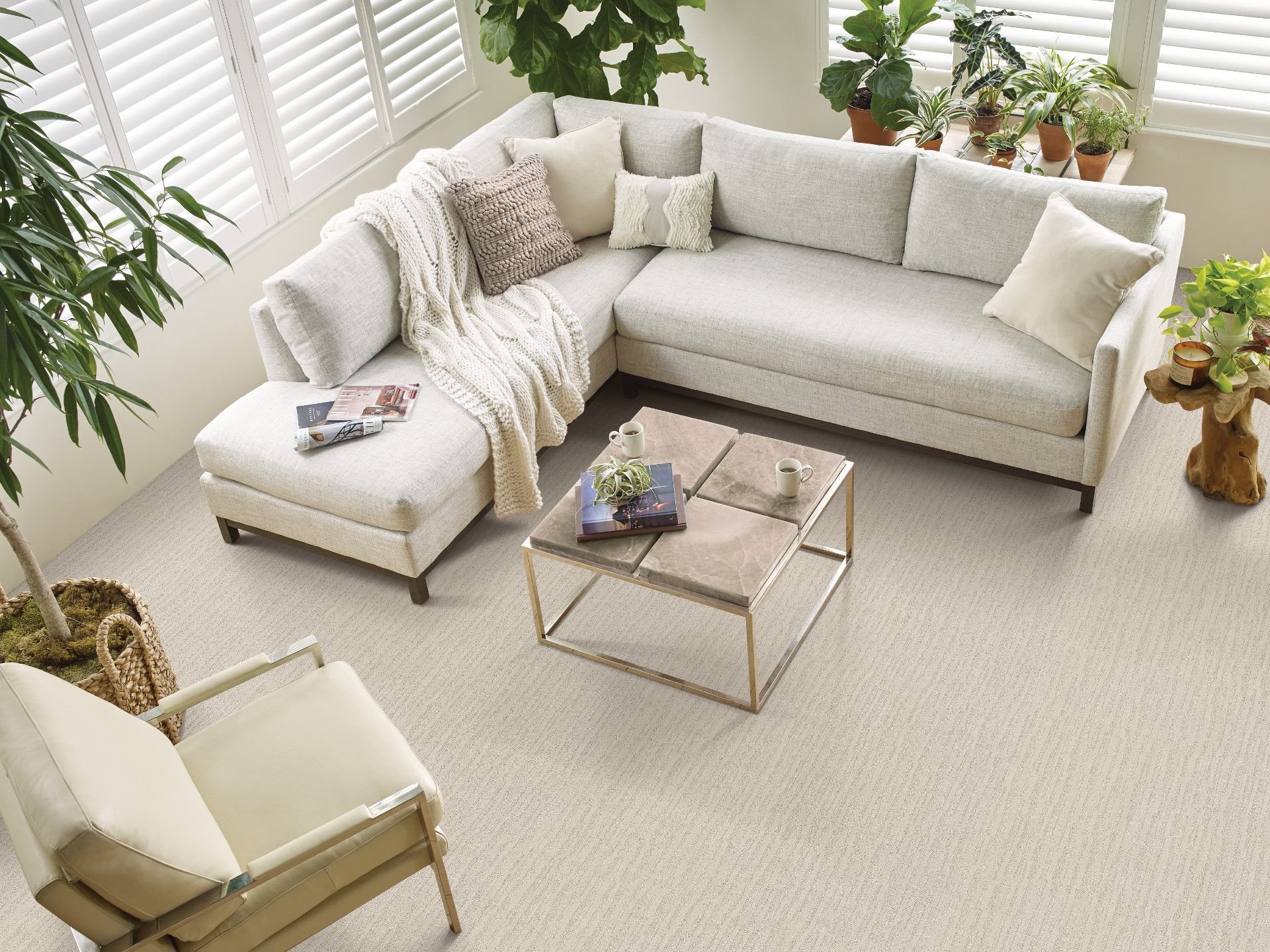 large living room with white couch on carpet - Carpet Plus Flooring LLC