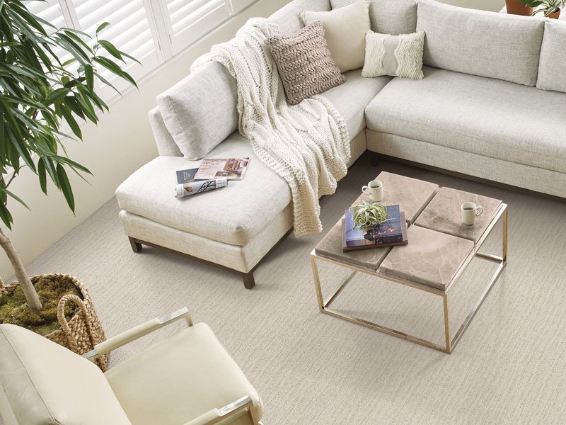 sofas in the living room